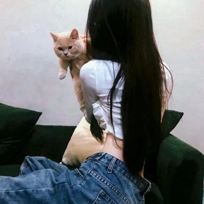 南美风月
